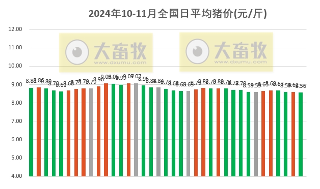 生豬最新價(jià)格行情深度解析，洞悉市場(chǎng)動(dòng)態(tài)