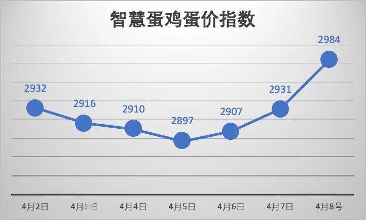 雞蛋最新行情與小巷深處的鮮味秘境探索