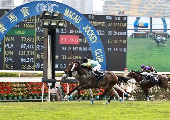 新澳門今晚特馬號碼推薦,市場需求狀況_隨行版53.600