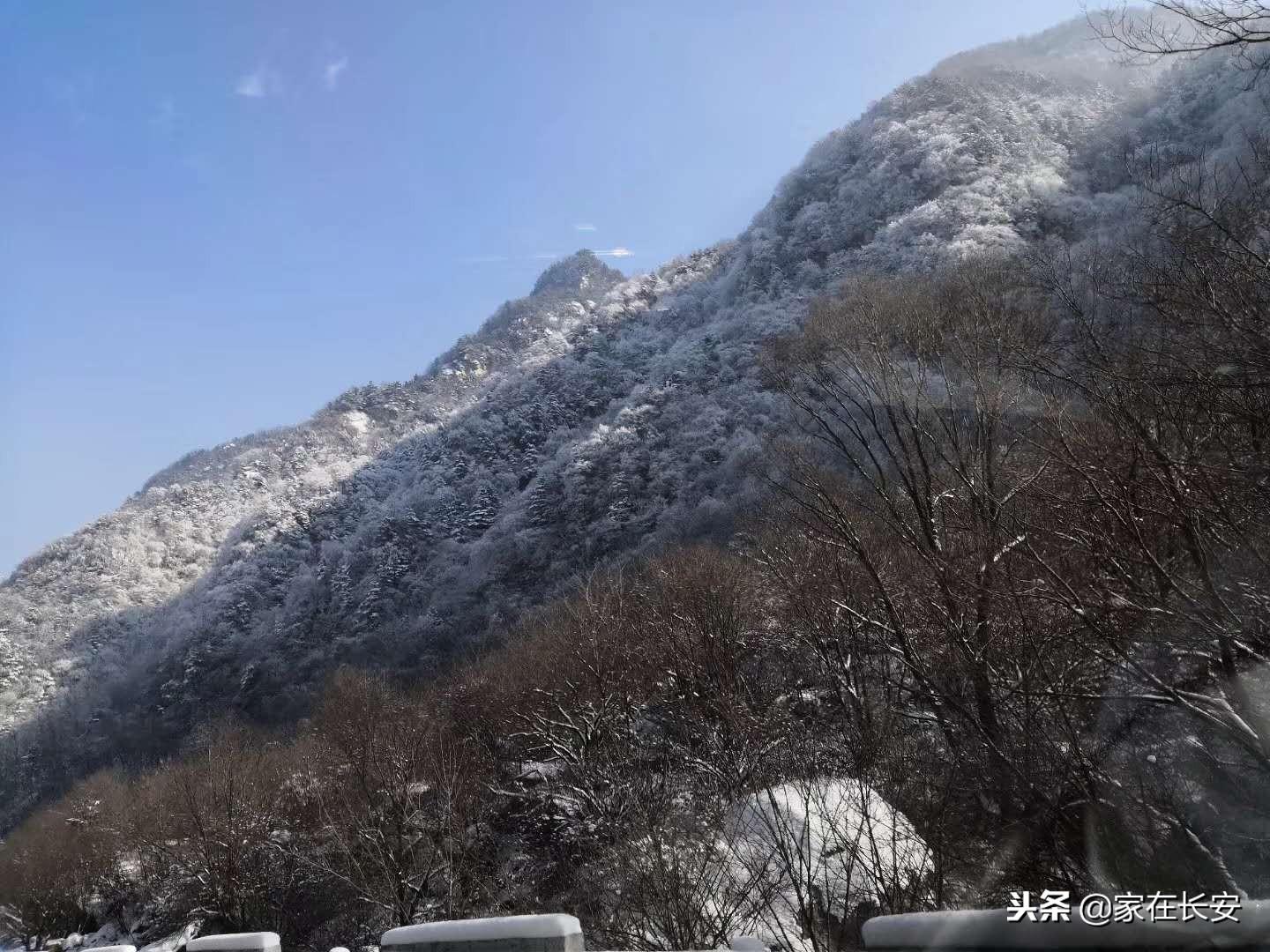 南山最新雪景，心靈之旅與學習力量的完美結(jié)合