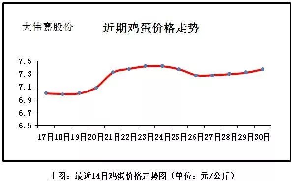 雞蛋價(jià)格走勢(shì)分析，洞悉行情變化，助力自信與夢(mèng)想實(shí)現(xiàn)之路